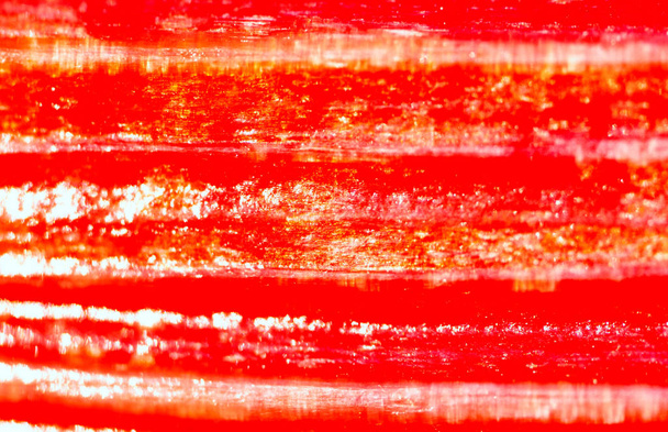 texture des feuilles de colonne vertébrale
 - Photo, image