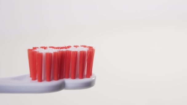 A hand squeezes a blue toothpaste from a tube onto a white plastic toothbrush with a tap of bristles close-up. Morning hygiene - Filmagem, Vídeo