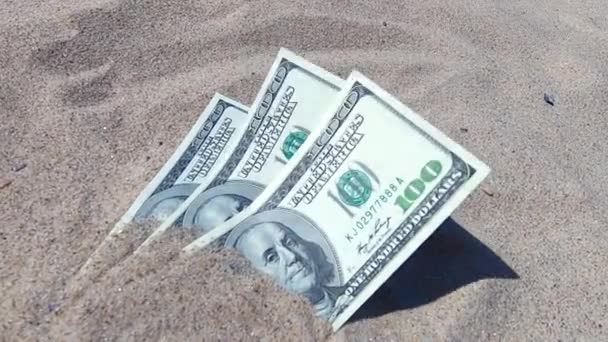 Dinheiro dolares metade coberto com areia mentira na praia close-up - Filmagem, Vídeo