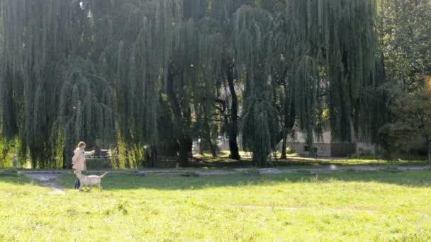 Mujer y perro jugando en el parque
 - Metraje, vídeo