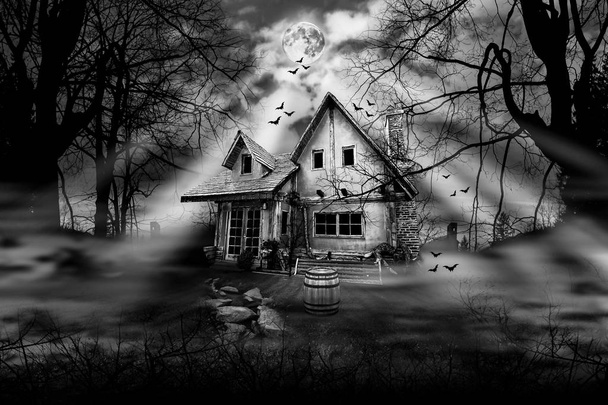 Στοιχειωμένο σπίτι ασπρόμαυρη φωτογραφία - Φωτογραφία, εικόνα