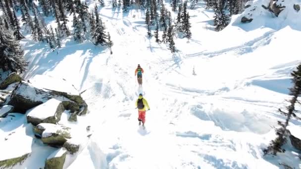 esquiadores esquiar ao longo de pista extrema entre pinheiros sempre verdes
 - Filmagem, Vídeo