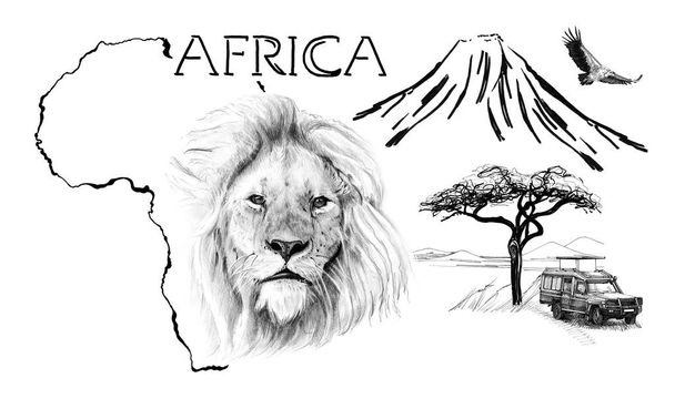 Retrato de leão na África mapa fundo com montanha Kilimanjaro
 - Foto, Imagem