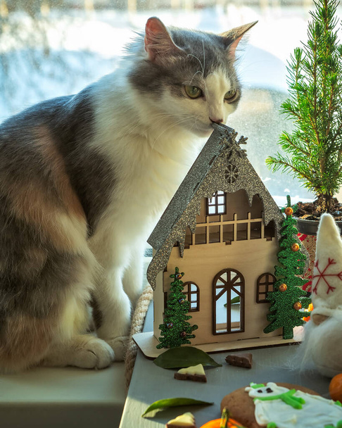 Biglietto di Natale con una casa di fantasia e nani divertenti. Il gatto soffice annusa la casa con interesse
. - Foto, immagini