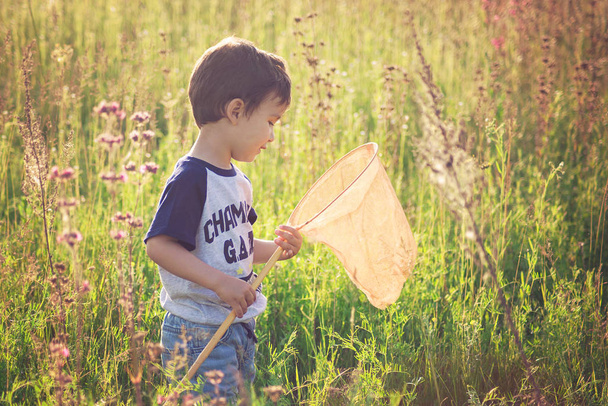 Niño con red de mariposa capturas de mariposa
 - Foto, imagen
