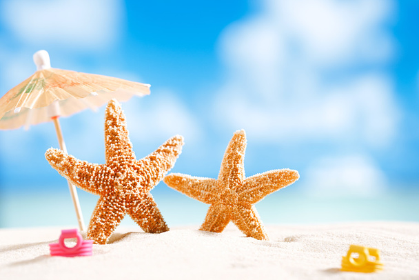 Starfish met zee, strand en zeegezicht - Foto, afbeelding