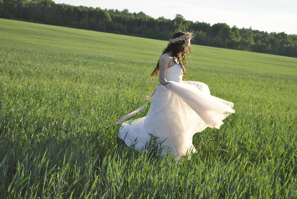 The bride is spinning in a wheat field. Bride at a photo shoot in a wheat field. The bride picks up the wedding dress. The sun's rays illuminate the bride. The bride's shadow falls on the green field. - Zdjęcie, obraz