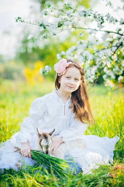 Девушка с козой сидит в траве в пышном яблоневом саду
 - Фото, изображение