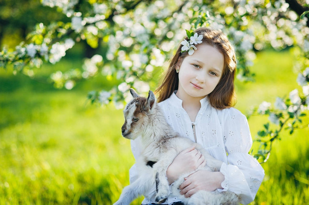menina com uma cabra sentada na grama em um pomar de maçã exuberante
 - Foto, Imagem