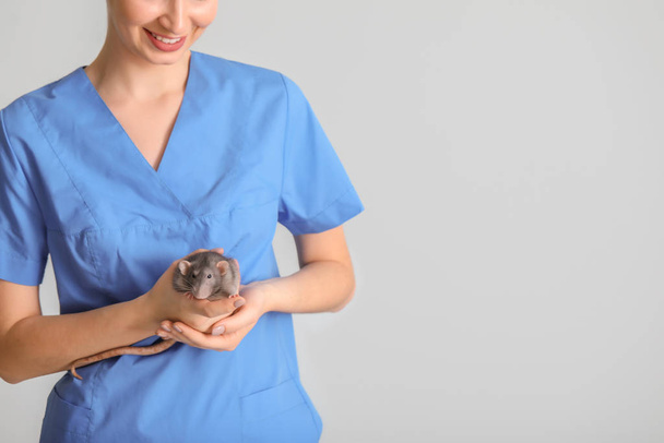 Female veterinarian with cute rat on light background - Photo, image