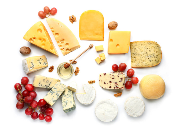 Assortment of fresh cheeses on white background - Photo, Image