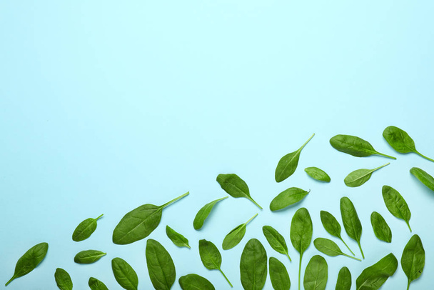 Fresh spinach on color background - Foto, Imagem