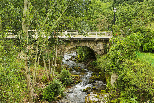 Somiedo natural park in Asturias province, Spain. - Photo, Image
