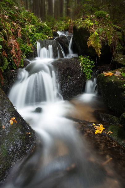 cascada en el bosque - Foto, Imagen