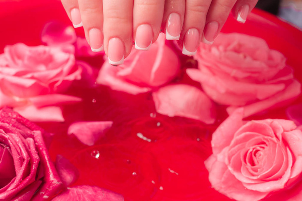 Salone Spa: Belle mani femminili con manicure francese nella ciotola d'acqua con rose rosa e petali di rosa
. - Foto, immagini