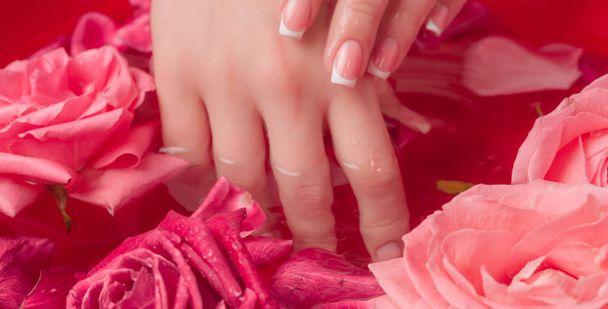 Spa Salon: kaunis nainen kädet Ranskan manikyyri kulhoon veden vaaleanpunaisia ruusuja ja ruusun terälehtiä
. - Valokuva, kuva