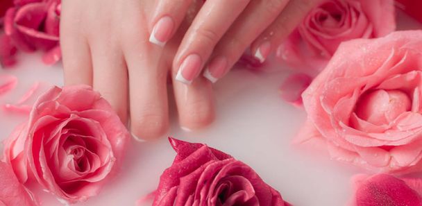 Spa Salon: Beautiful Female Hands with French Manicure in the Bowl of Water with Pink Roses and Rose Petals. - Foto, Imagen