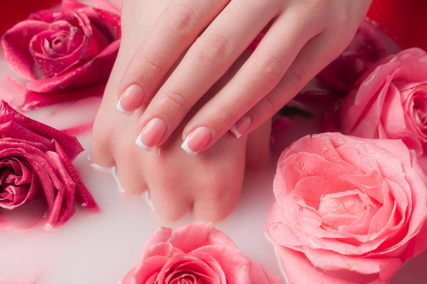 Salone Spa: Belle mani femminili con manicure francese nella ciotola d'acqua con rose rosa e petali di rosa
. - Foto, immagini