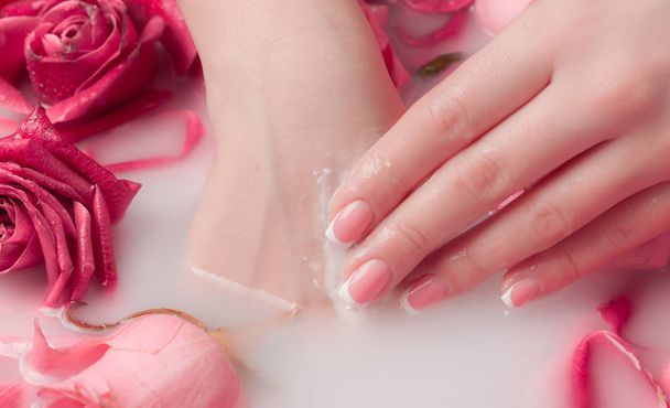 Wellness-Salon: Schöne weibliche Hände mit französischer Maniküre in der Wasserschale mit rosa Rosen und Rosenblättern. - Foto, Bild