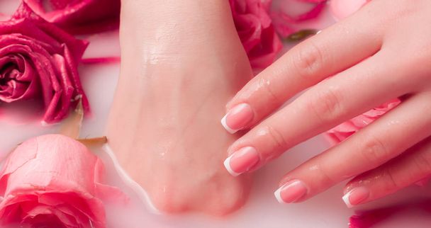 Spa szalon: gyönyörű női kéz francia manikűr a tálban a víz rózsaszín rózsa és rózsaszirmok. - Fotó, kép