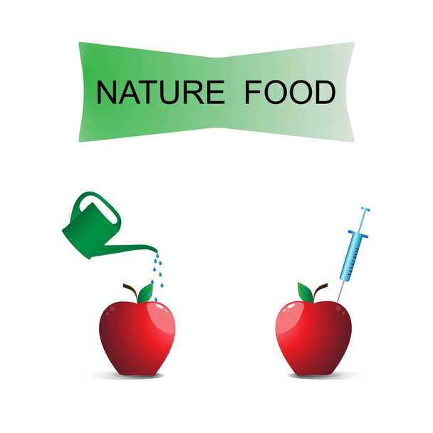 Element of visual composition. Nature food. Organic fruit. - Вектор, зображення
