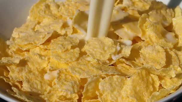 Corn flakes pouring with milk - Filmati, video