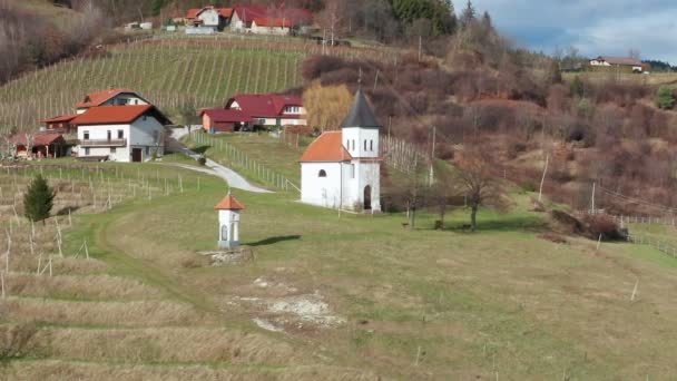 Vineyard in traditional european rural landscape, Pohorje wine growing region near Slovenska Bistrica, aerial pan - Footage, Video
