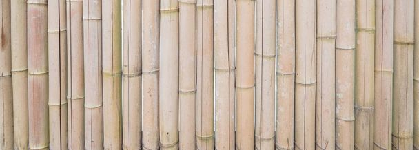 Panoramique brun séché bambou bâtons motif fond plein cadre vue
 - Photo, image