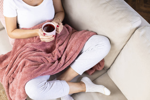 Young woman having morning tea in sofa - Valokuva, kuva