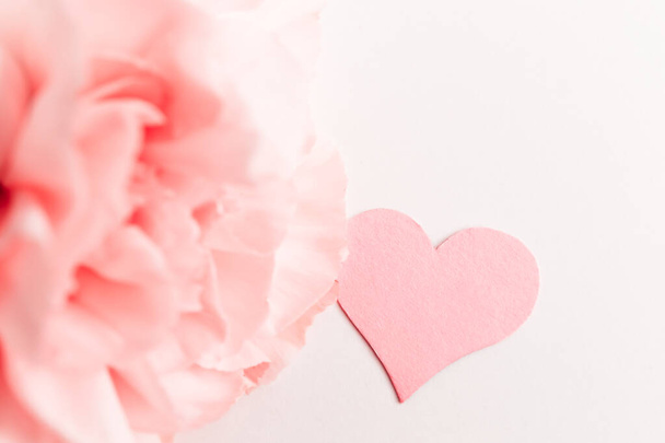 Three pink carnations isolated on white background with heart symbol of love - Foto, Imagem