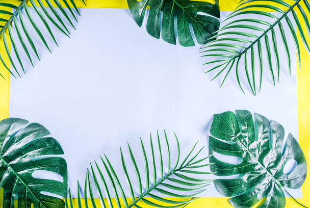 palma tropicale e foglie di monstera sfondo - Foto, immagini