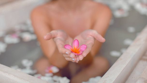 Bir kızın ellerinde güzel pembe bir çiçek. Spa - Fotoğraf, Görsel