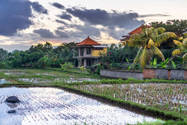 Ubud (Bali), Indonesia - Foto, afbeelding
