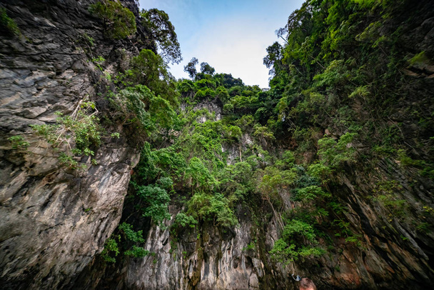Yeşil yemyeşil orman Tayland 'daki Phi Phi adalarındaki Maymun Sahili' nin tepesinde bir dağ.. - Fotoğraf, Görsel
