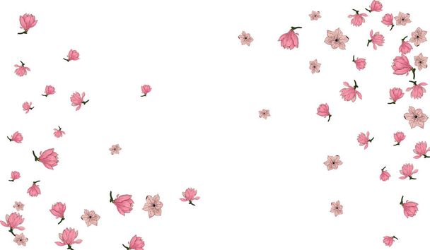 Pink Magnolia Flower Vector White Background. Japanese Sakura blossom illustration. - Vecteur, image