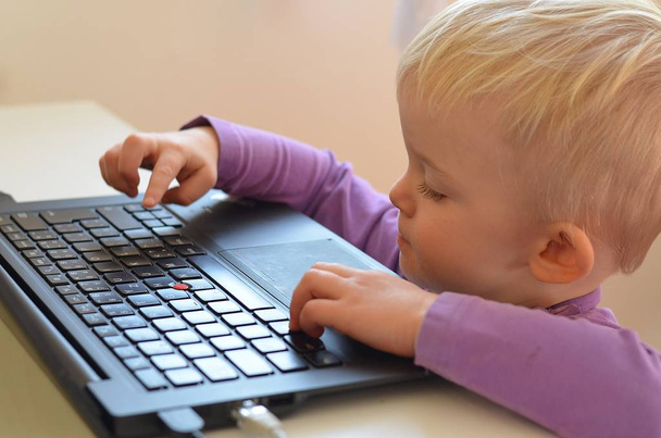 Niño pequeño escribiendo en un portátil
. - Foto, Imagen