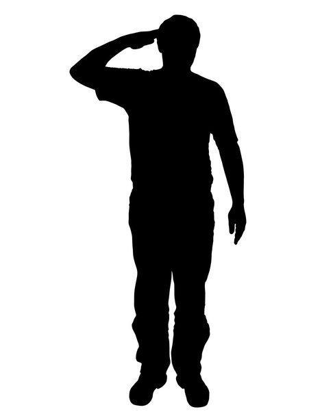 Military salute - Photo, Image