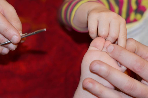 Stříhání nehtů jako hra: táta stříhal nehty svého malého syna.  - Fotografie, Obrázek