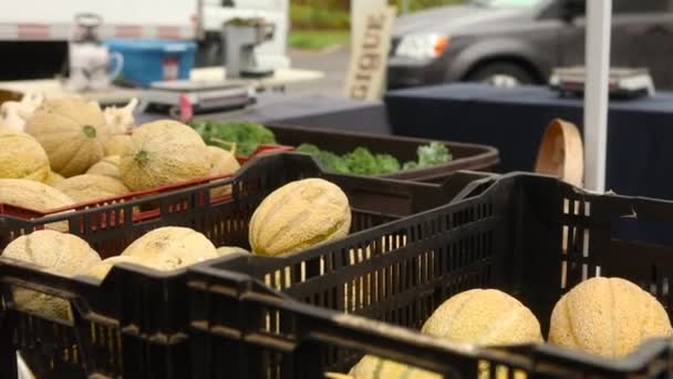 Fresh organic produce street market sale - Filmati, video