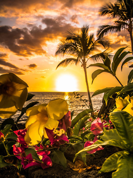 kleurrijke zonsondergang aan het strand tussen bloemen en palmbomen - Foto, afbeelding