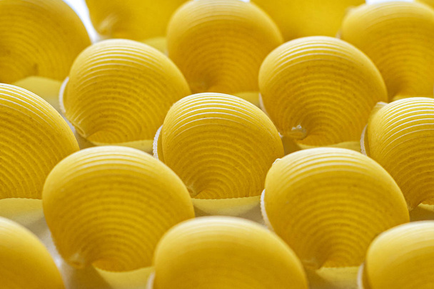 Pasta in the shape of shells - Photo, Image