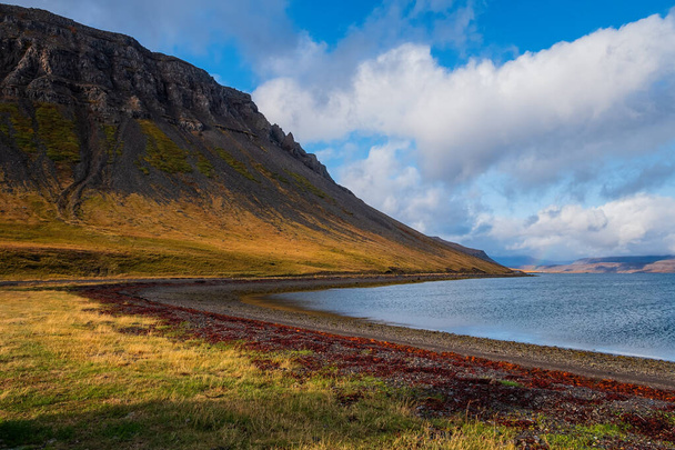 Pohled na velký a krásný Arnarfjordur fjord - Island. Září 2019 - Fotografie, Obrázek