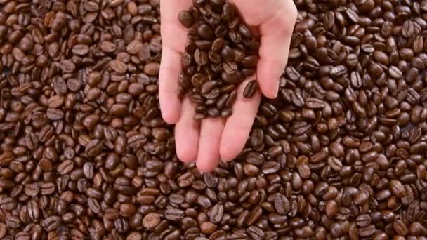Coffee beans. Roasted coffee beans falls down from hands in slow motion - Imágenes, Vídeo