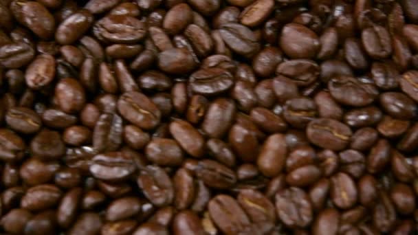 Roasted coffee bean. Camera move from right to left in slow motion - Imágenes, Vídeo