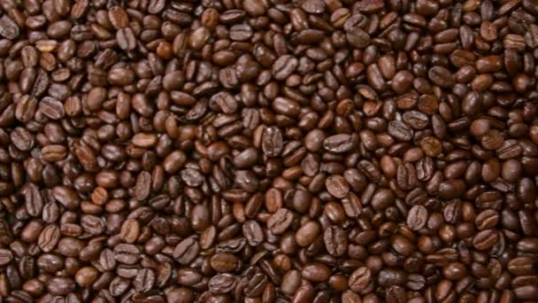 Coffee beans. Roasted coffee beans falls down from hands in slow motion - Imágenes, Vídeo