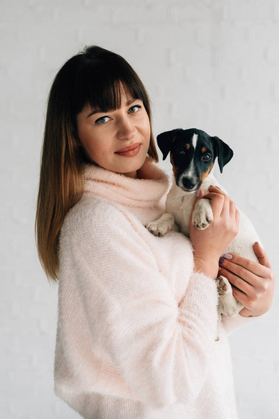 Bruneta v lehkém pleteném svetru drží svého mazlíčka a dívá se do kamery, štěně Russell Terrier - Fotografie, Obrázek
