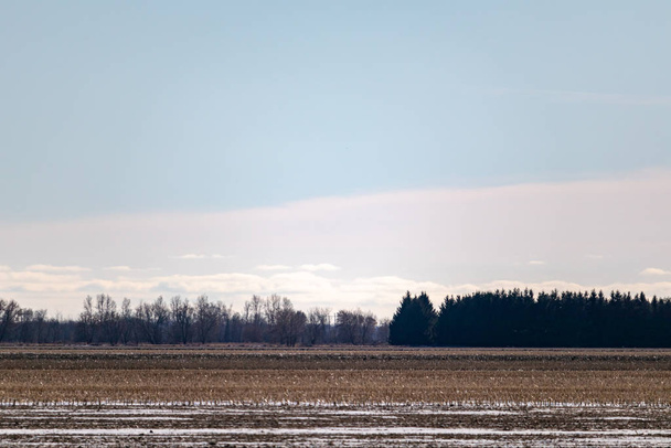 Wintery farmer's field has long been harvested - Photo, Image