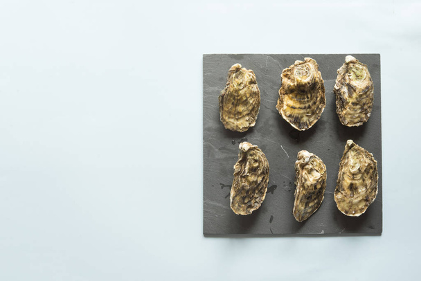 Oyster fresh  gourmet - Photo, image