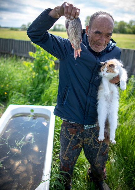 A white cat hangs looking at a carp fish in one hand of an old man in the village on the background of a bath with live fish. - Photo, Image