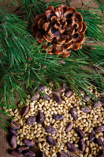 Cedar nuts in the shell and without it scattered on the table. - Photo, Image